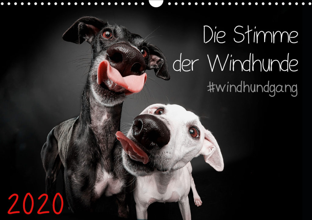 Windhundkalender