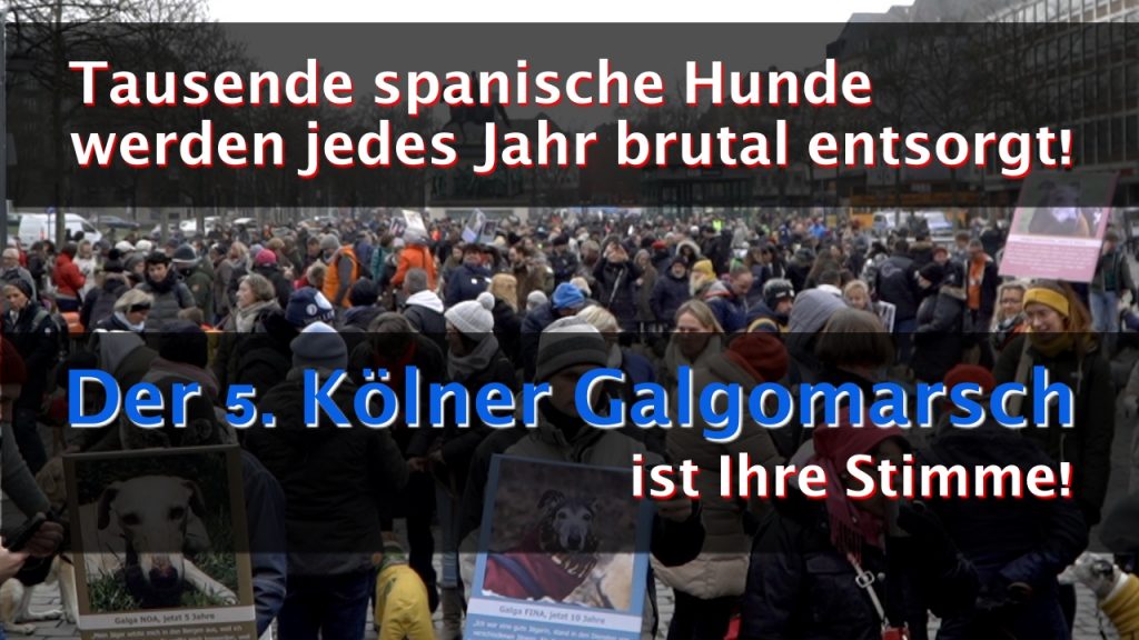 Galgo Marsch 2020