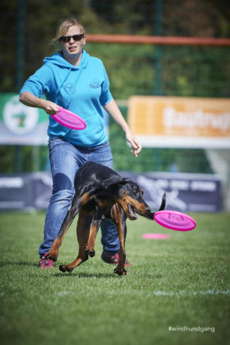DSC 8078Disc 09 2018