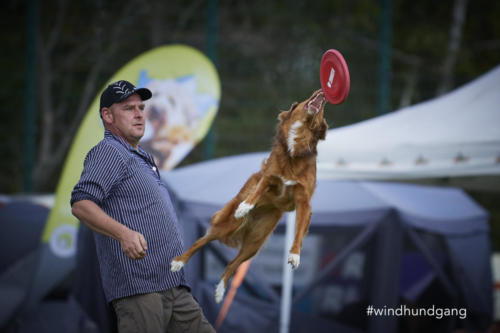 DSC 8082Disc 09 2018