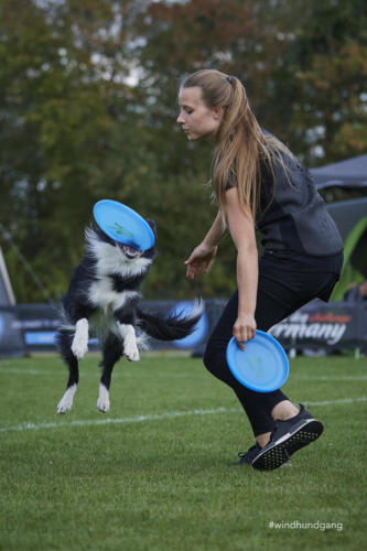 DSC 8196Disc 09 2018