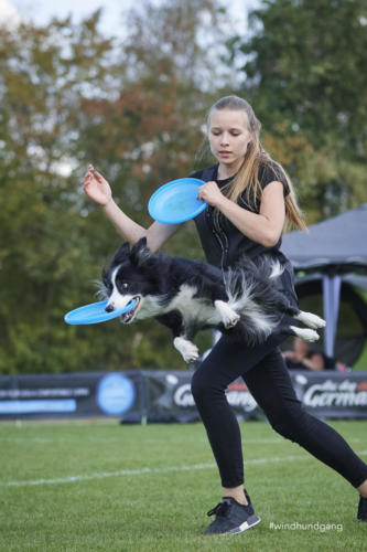 DSC 8198Disc 09 2018