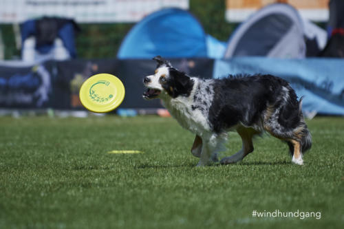 DSC 8218Disc 09 2018