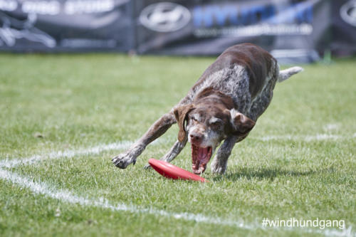 DSC 405505-2018barny