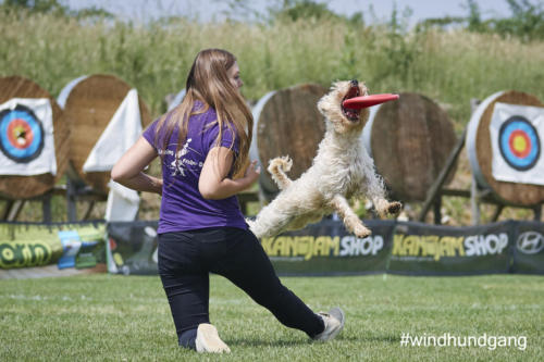 DSC 422705-2018barny