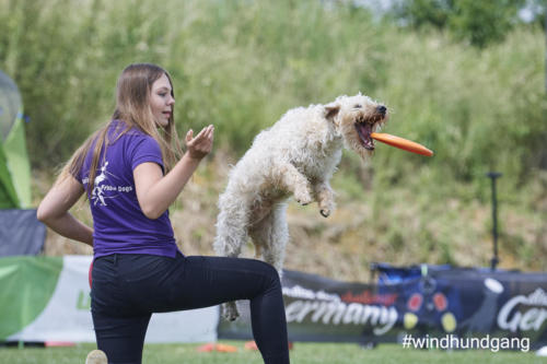 DSC 424505-2018barny