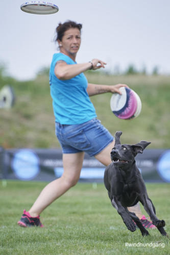 DSC 425905-2018barny