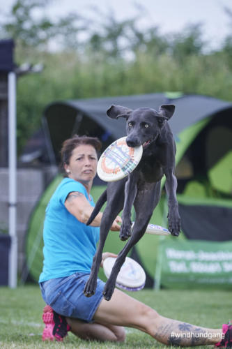 DSC 428405-2018barny