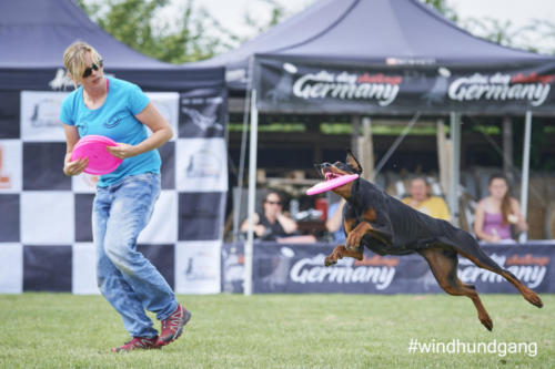 DSC 431205-2018barny