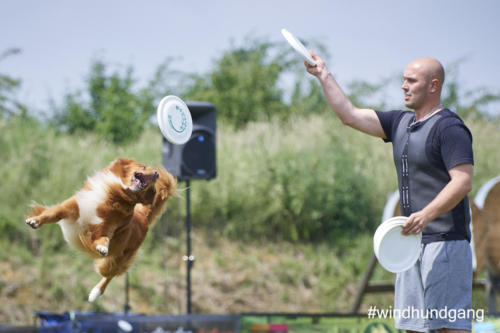 DSC 432405-2018barny