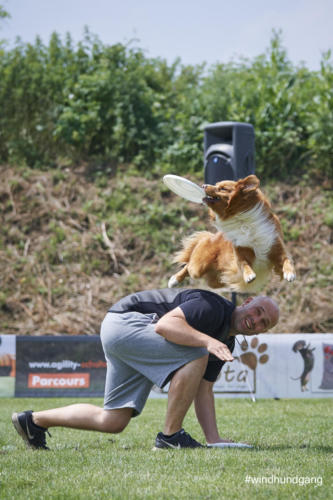 DSC 433305-2018barny