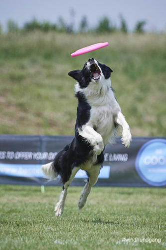 DSC 434705-2018barny