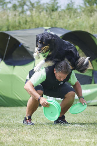 DSC 440305-2018barny