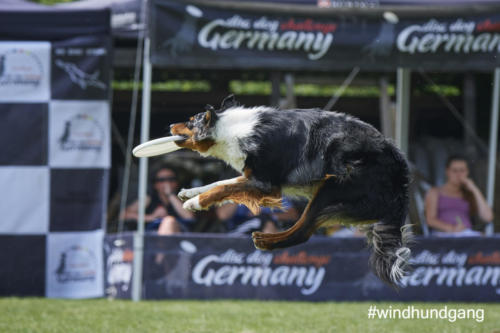 DSC 458705-2018discdog