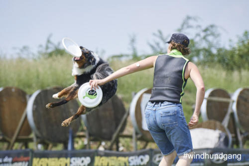 DSC 459205-2018discdog