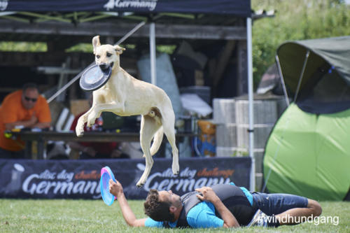 DSC 462105-2018discdog