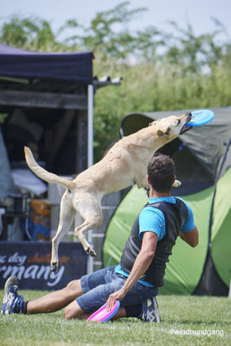 DSC 462405-2018discdog