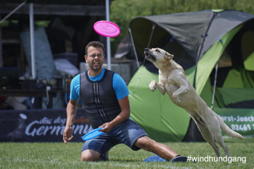 DSC 462505-2018discdog