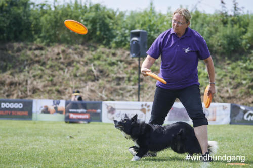 DSC 468405-2018discdog