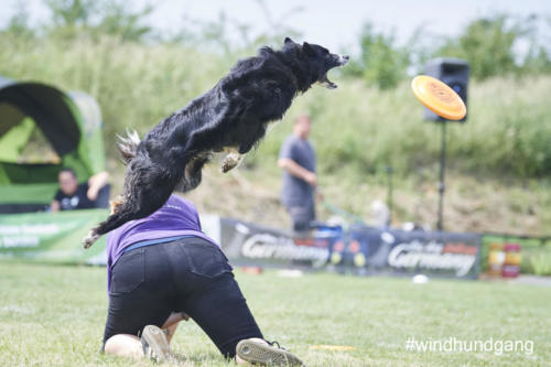 DSC 469205-2018discdog