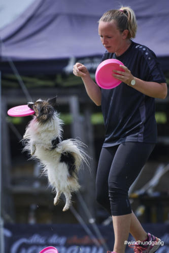 DSC 470305-2018discdog