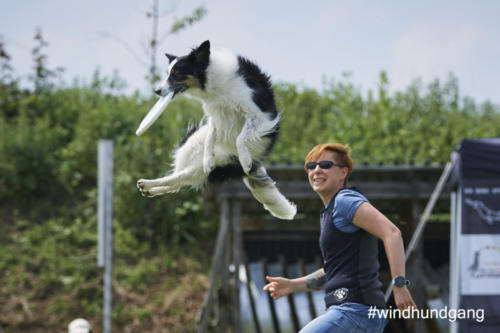 DSC 473505-2018discdog