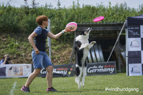 DSC 474005-2018discdog