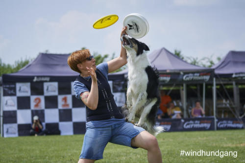 DSC 475205-2018discdog