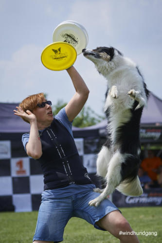 DSC 475305-2018discdog