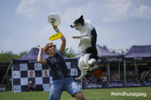 DSC 475405-2018discdog