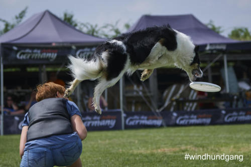 DSC 476005-2018discdog