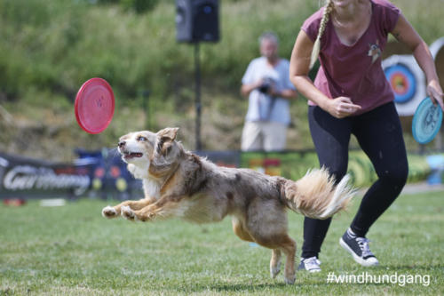 DSC 478305-2018discdog