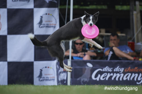 DSC 481105-2018discdog