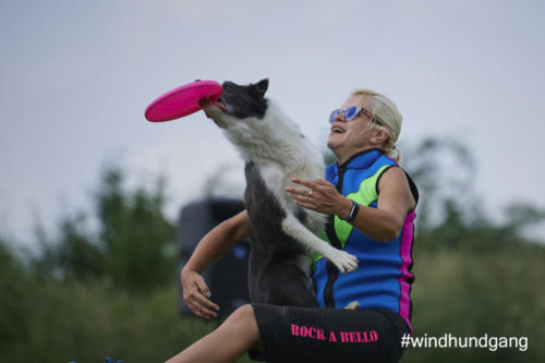 DSC 483105-2018discdog