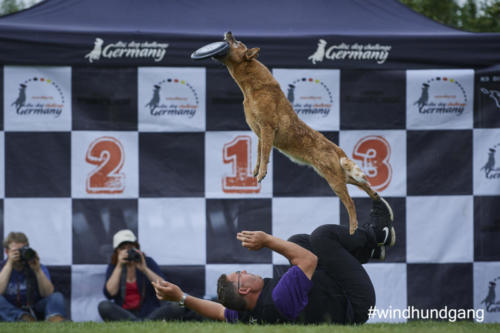 DSC 483605-2018discdog