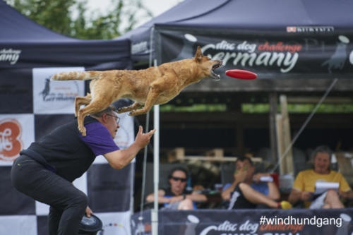 DSC 484505-2018discdog