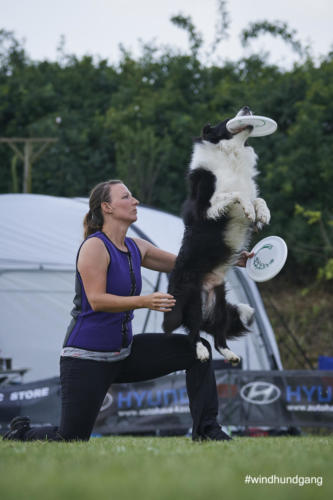 DSC 490505-2018discdog