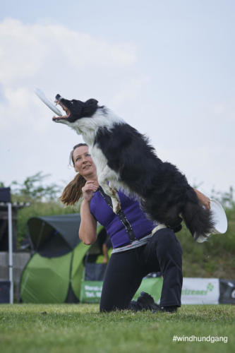 DSC 491905-2018discdog