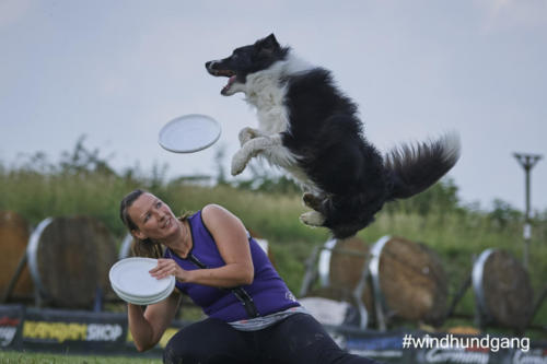 DSC 493005-2018discdog