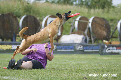 DSC 496605-2018discdog