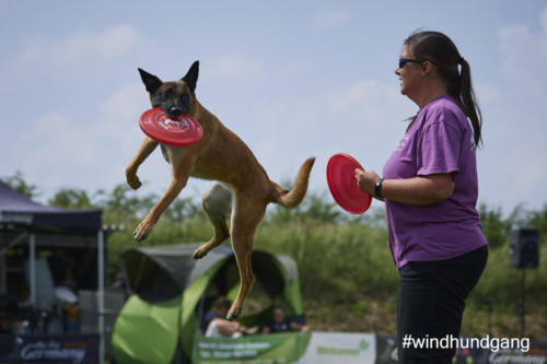 DSC 498405-2018discdog