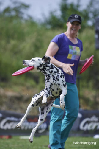 DSC 502205-2018discdog