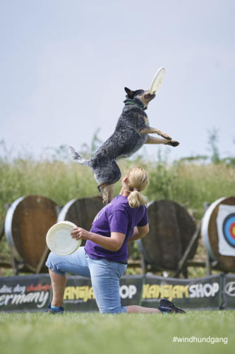 DSC 503305-2018discdog