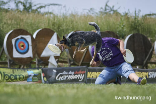 DSC 503505-2018discdog