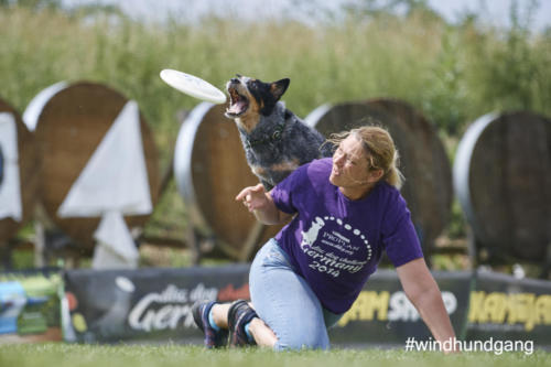 DSC 504105-2018discdog