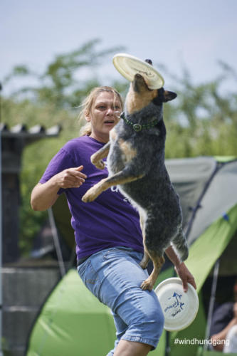 DSC 506005-2018discdog