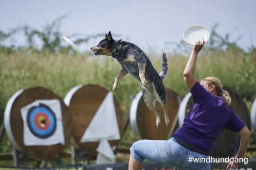 DSC 506805-2018discdog