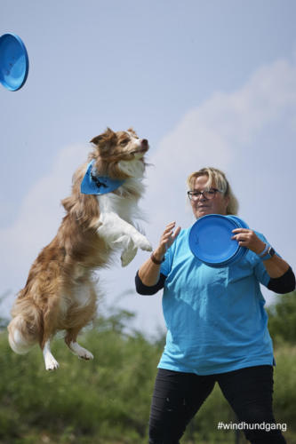 DSC 507505-2018discdog