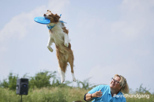 DSC 507805-2018discdog