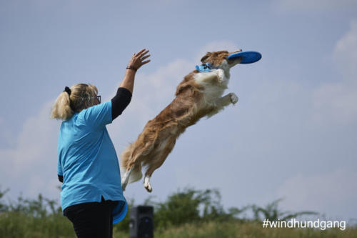 DSC 508405-2018discdog